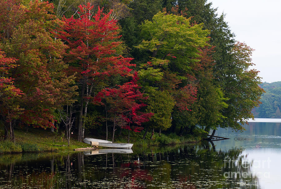 Boats under colorful trees Photograph by Les Palenik