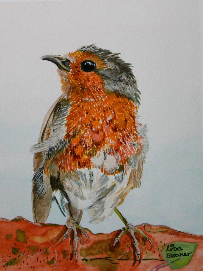 Robin Painting - Bobbin The Robin painting by Lisa Straker