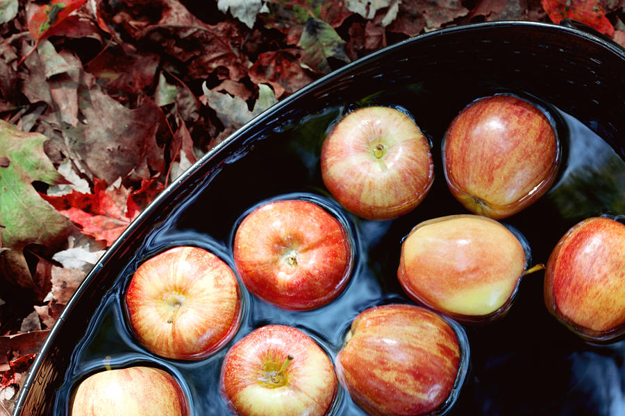 Bobbing For Apples Photograph by Kim Fearheiley