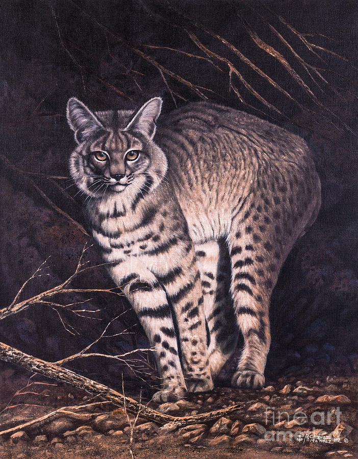 Bobcat Painting by Ricardo Chavez-Mendez