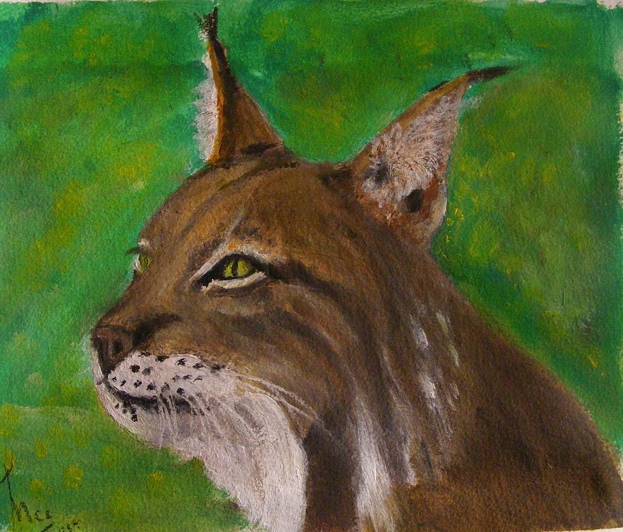 Bobcat Painting by Thomas McCaskie | Fine Art America