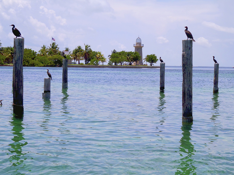 Lighthouse Photograph - Boca Chita docks by Carey Chen