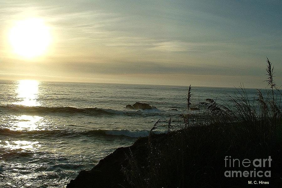 Bodega Bay Sunset Photograph by Mary Chris Hines