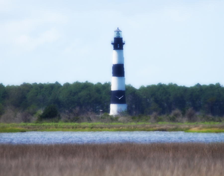 Lighthouse Photograph - Bodie Light And Birds by Cathy Lindsey
