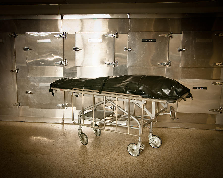 Body Bag in Morgue Photograph by Insight Imaging