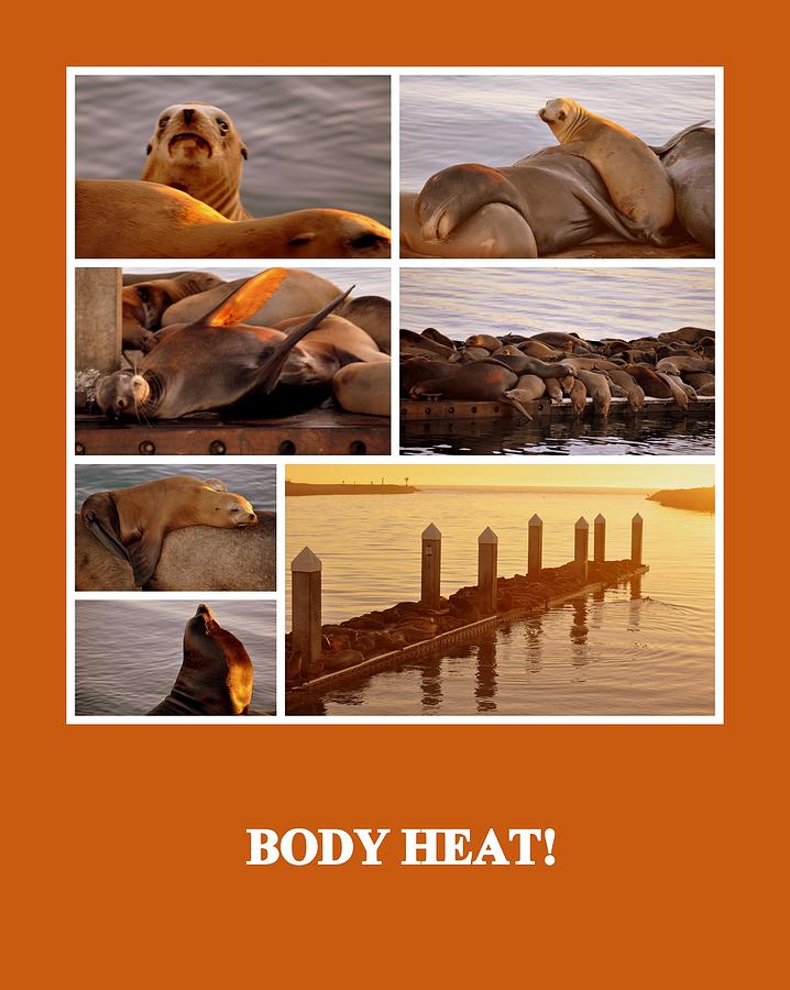 Body Heat Photograph by AJ  Schibig