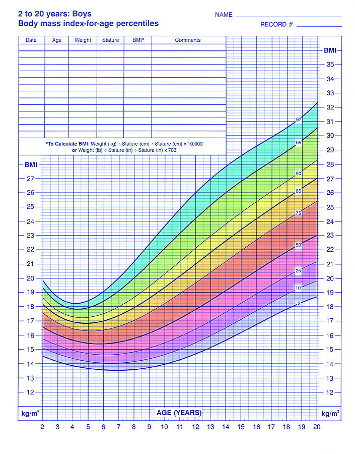 Body Mass Index Chart Photograph By Cdc Science Photo Library