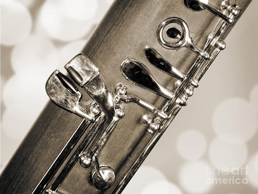 Bassoon Music Instrument Fine Art Prints Canvas Prints Greeting Cards in Sepia 3422.01 Photograph by M K Miller