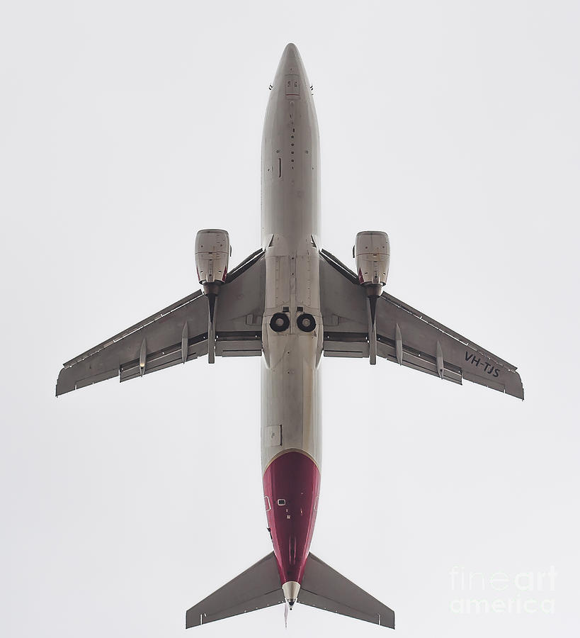 Boeing 737 Photograph by Steven Ralser