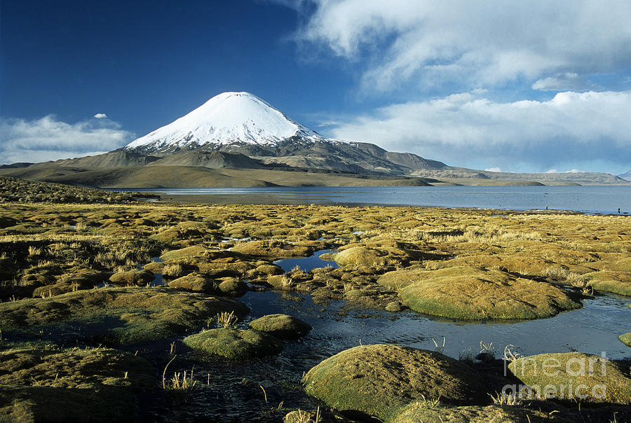 Bofedales in Lauca National Park Photograph by James Brunker