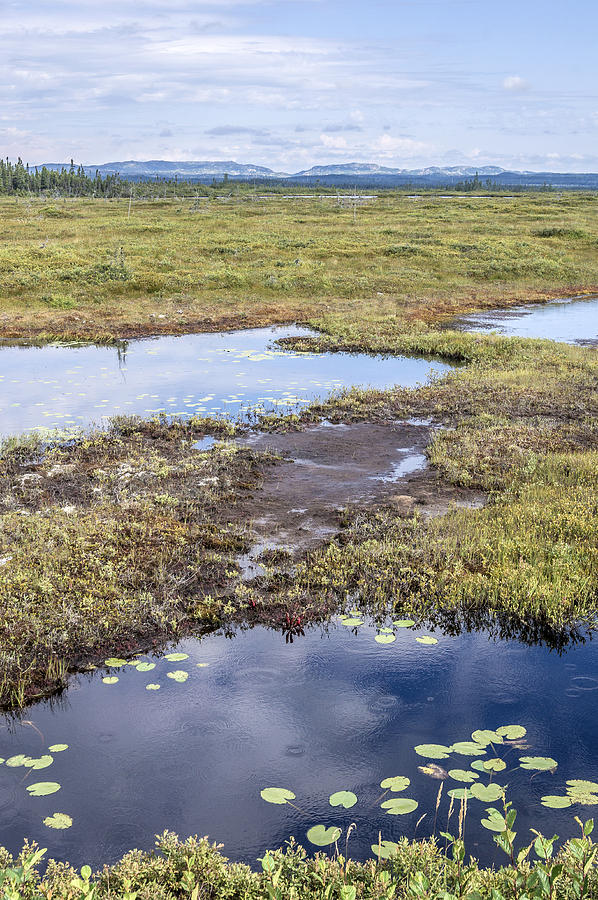 Bogs and tundra Photograph by Arkady Kunysz