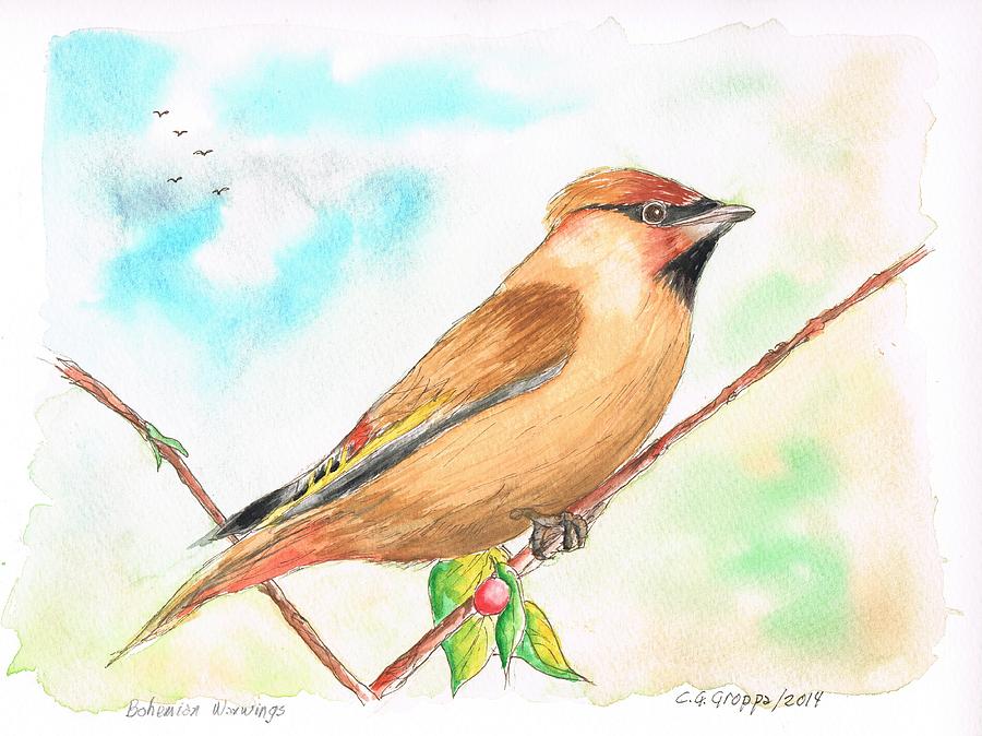Bohemian Waxwing Painting by Carlos G Groppa