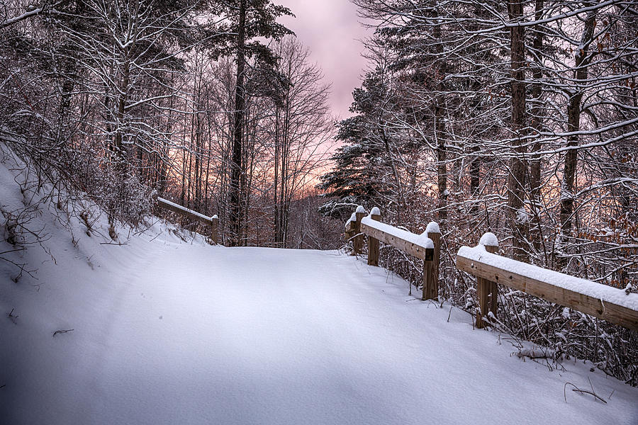Bohemian Winter Sunrise Photograph by John Haldane