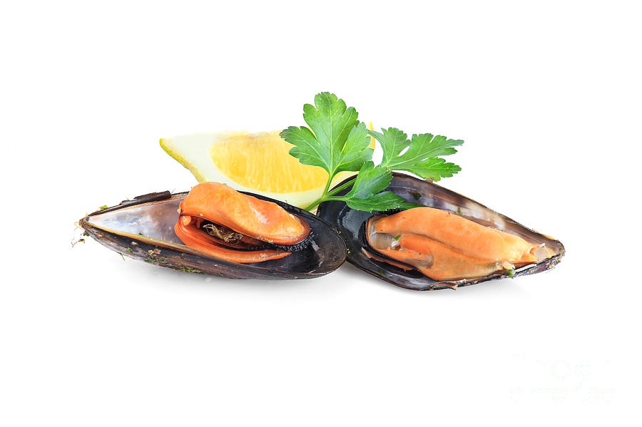 Boiled Mussels  Isolated On White Background Photograph by Antonio Scarpi
