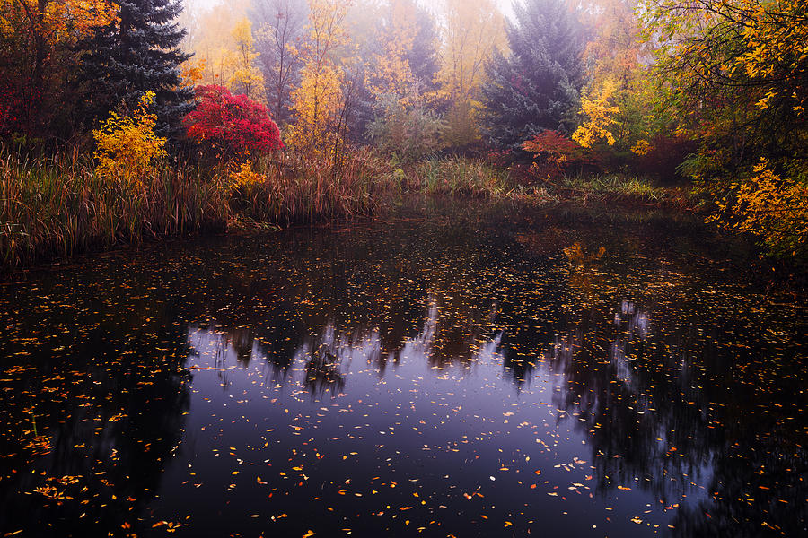Fall Photograph - Boise Autumn by Vishwanath Bhat