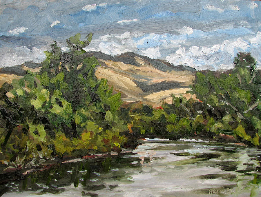 Boise River at Barber Park Painting by Les Herman