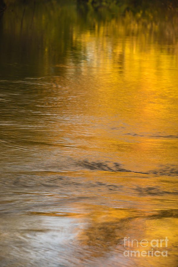 Boise River autumn abstract Photograph by Vishwanath Bhat