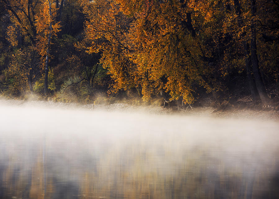 Boise River autumn foggy morning Photograph by Vishwanath Bhat