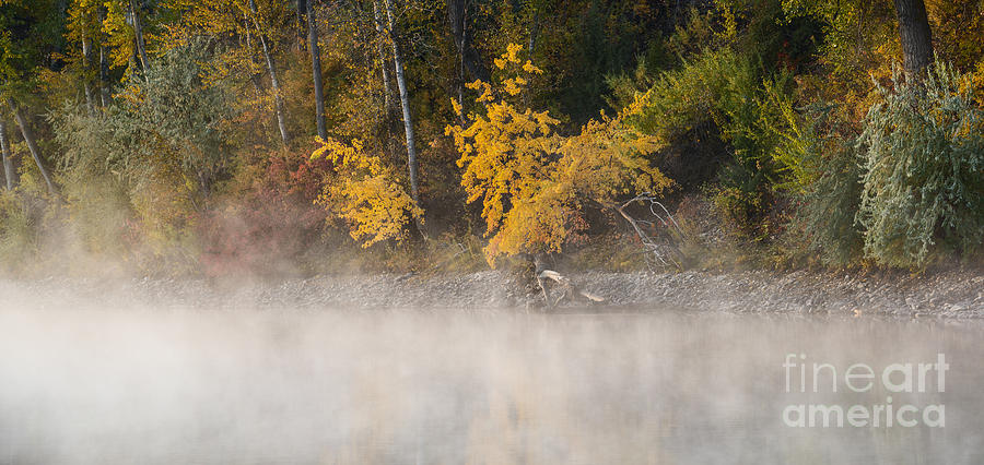 Boise River Autumn Morning Photograph by Vishwanath Bhat