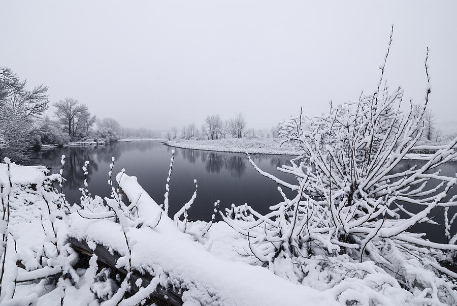 Boise River in winter Photograph by Vishwanath Bhat