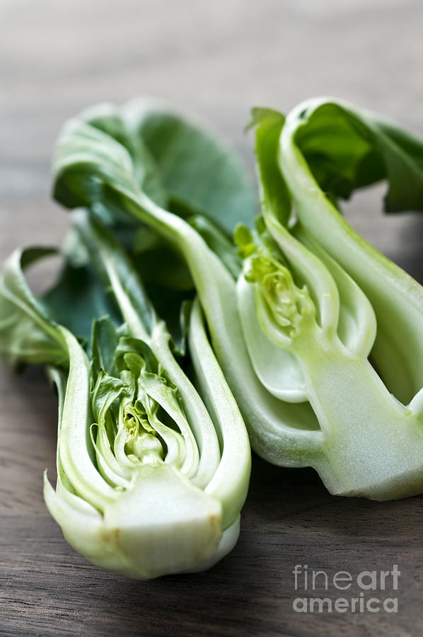 Cabbage Photograph - Bok choy 2 by Elena Elisseeva