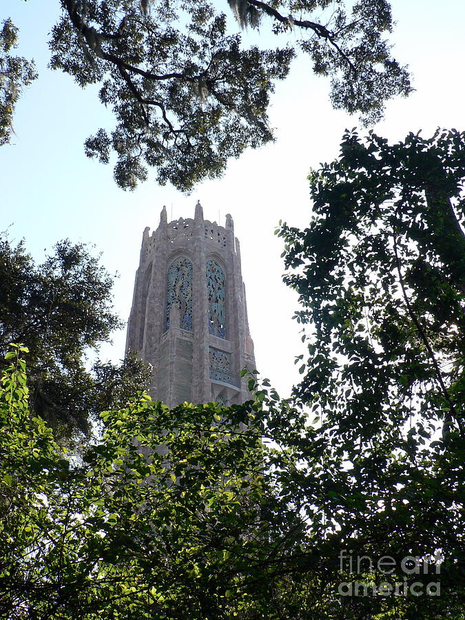 Bok Tower Photograph by Elizabeth Fontaine-Barr
