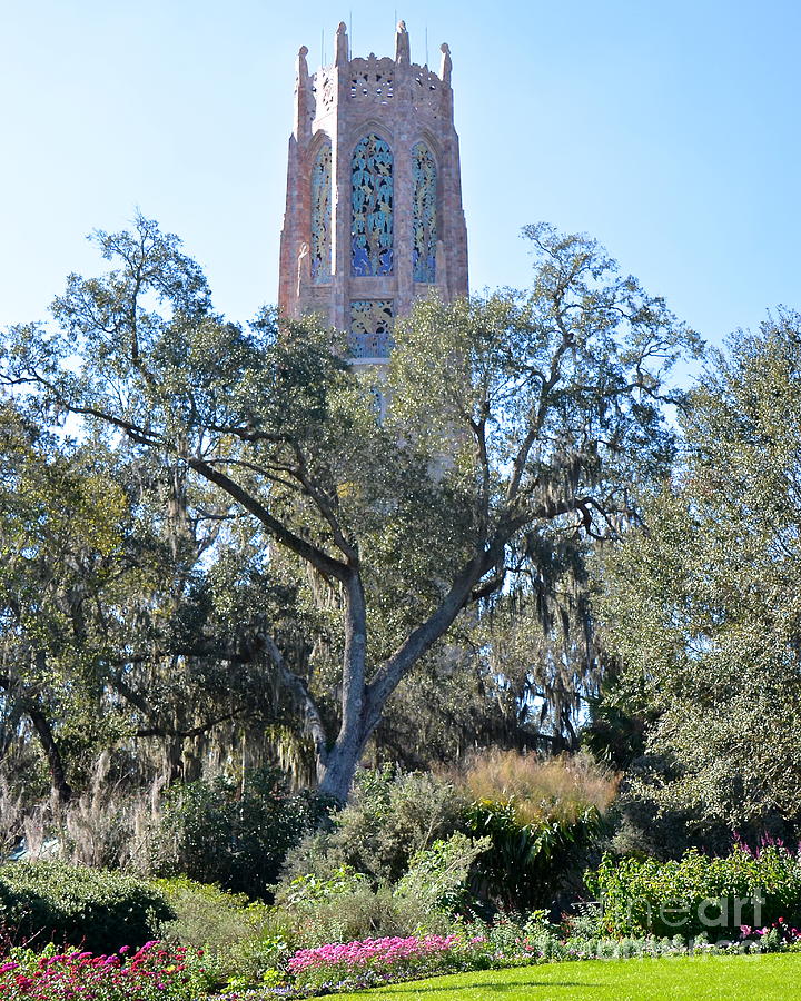 Bok Tower Rising Above the Gardens Photograph by Carol  Bradley
