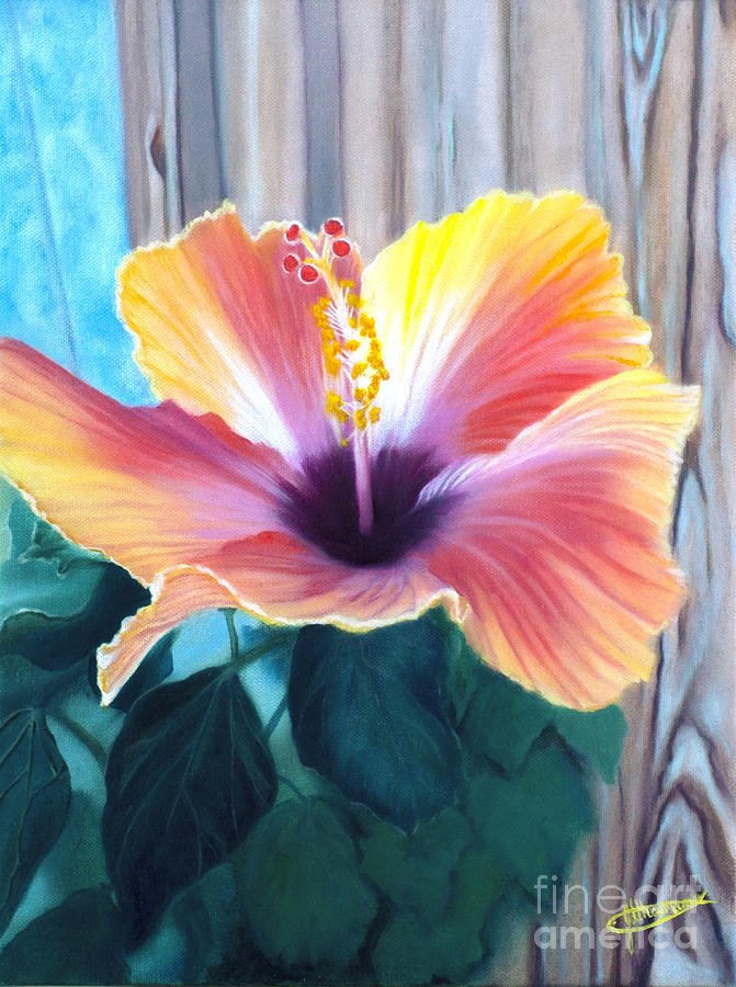 Hibiscus Painting - Bold and Beautiful by Jeanette Sthamann