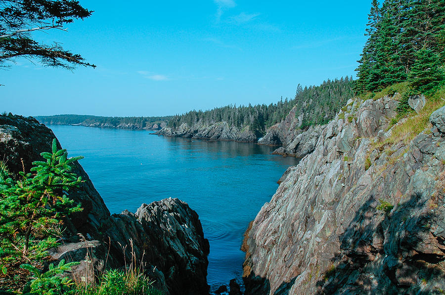 Bold Coast Cliffs Photograph by Norm Rodrigue - Fine Art America