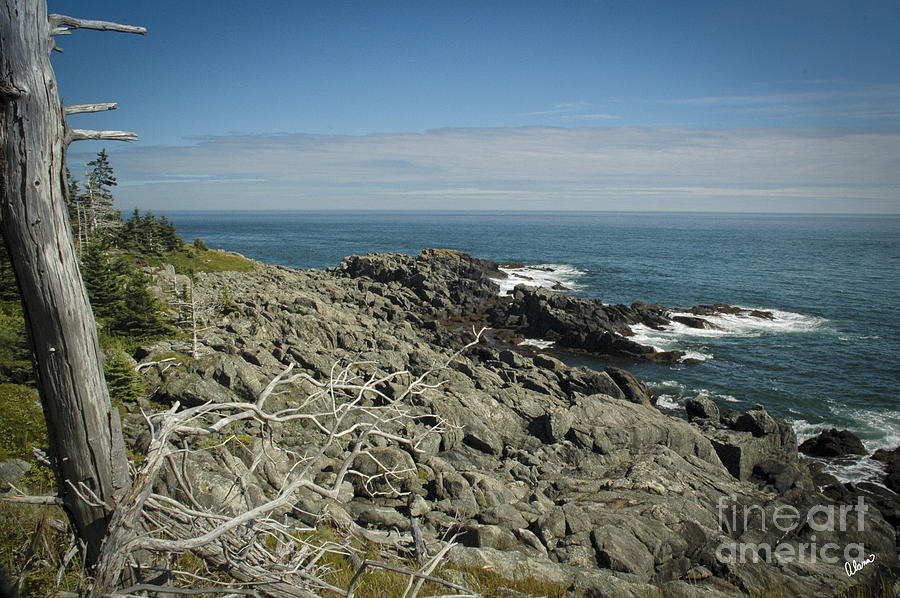 Bold Coast Rocks Photograph by Alana Ranney