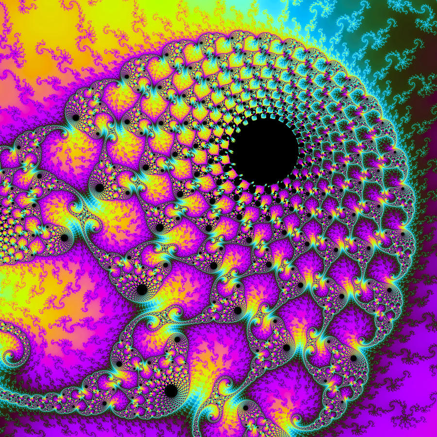 Bold fractal art pink purple orange cyan floral spiral Digital Art by Matthias Hauser