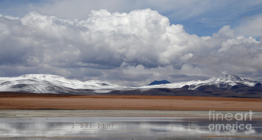 Bolivia 6 Photograph by Vivian Christopher