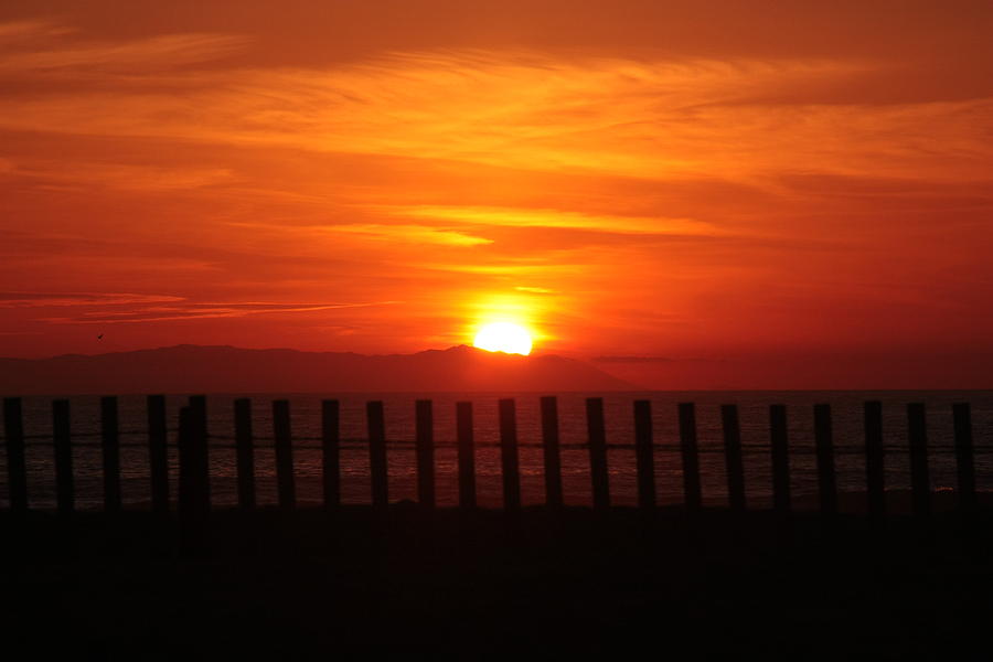 Bolsa Chica Sunset by Joanne Coyle Bolsa Chica Sunset by Joanne Coyle