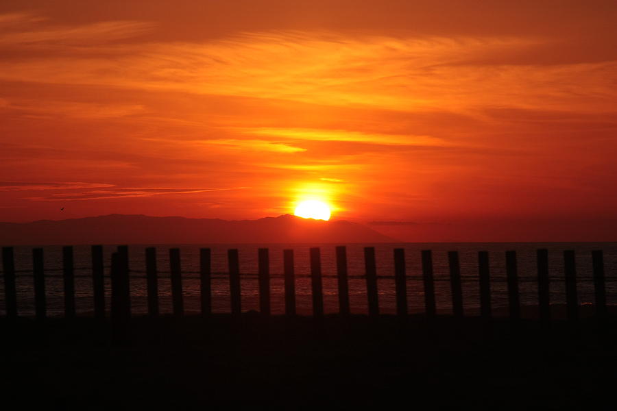 Bolsa Chica Sunset Photograph by Joanne Coyle