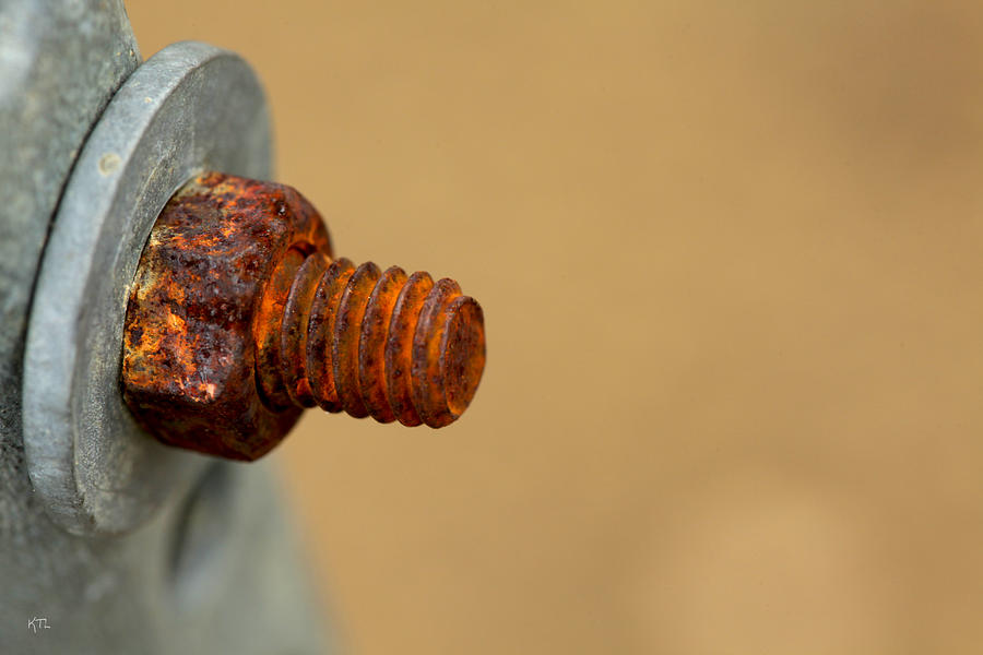 Bolt Photograph - Bolted by Karol Livote