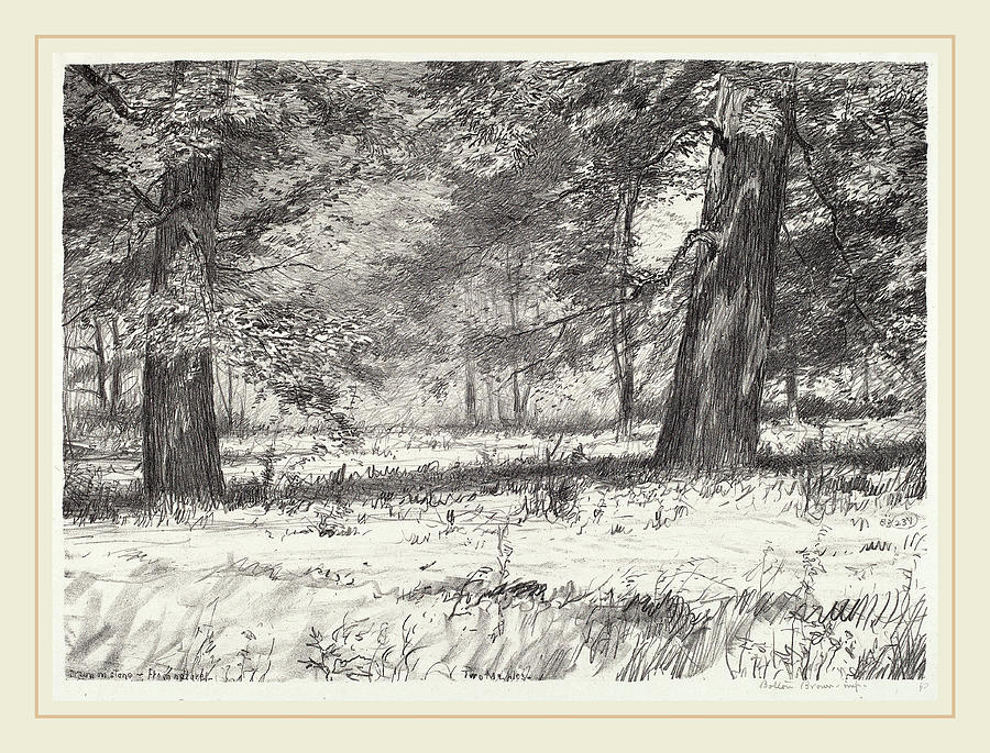 Bolton Brown, Two Maples, American, 1865-1936 Drawing by Litz ...