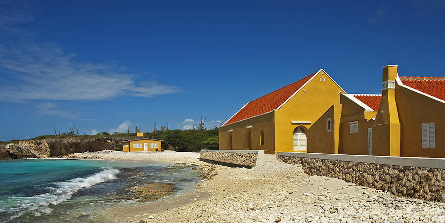 Bonaire National Park Photograph by Alida Thorpe - Fine Art America