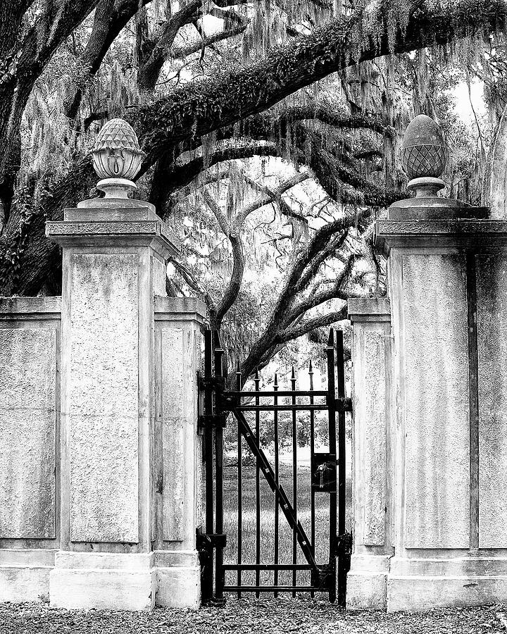 A CEMETERY REMEMBERED Savannah GA Photograph by William Dey