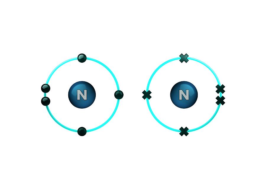 n2-nitrogen-molecule-royalty-free-vector-image