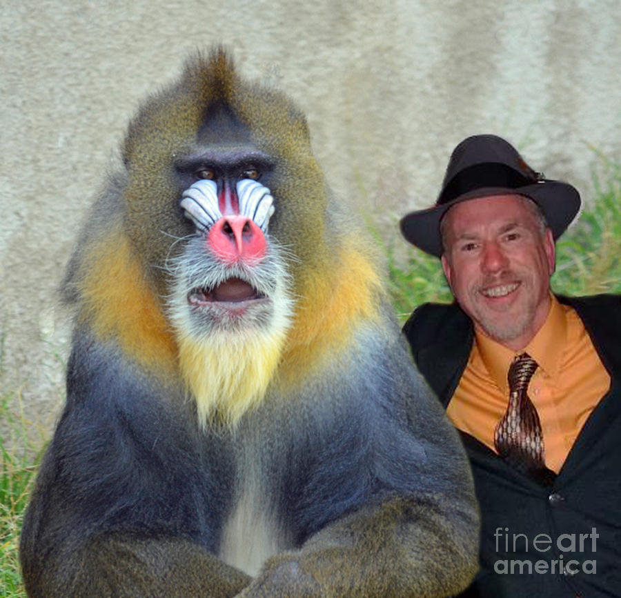 Bonding With My New Mandrill Buddy  Photograph by Jim Fitzpatrick