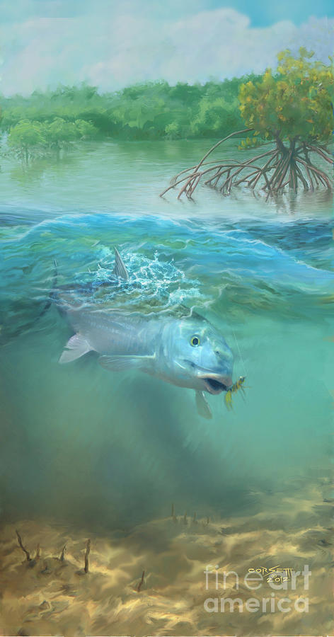 Bone fish Painting by Robert Corsetti