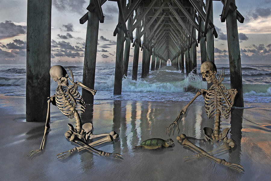 Turtle Digital Art - Bonefied Buddies by Betsy Knapp