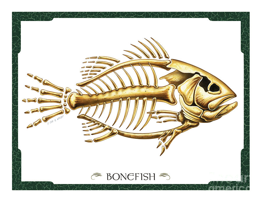 Bonefish Painting by JQ Licensing