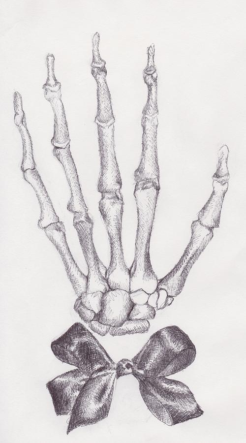 Drawings of Bones  Michelle B Rapp