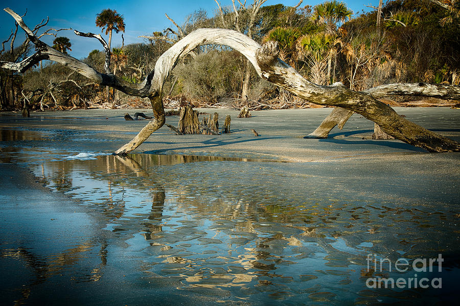 Boneyard Beach 2 Photograph by Carrie Cranwill