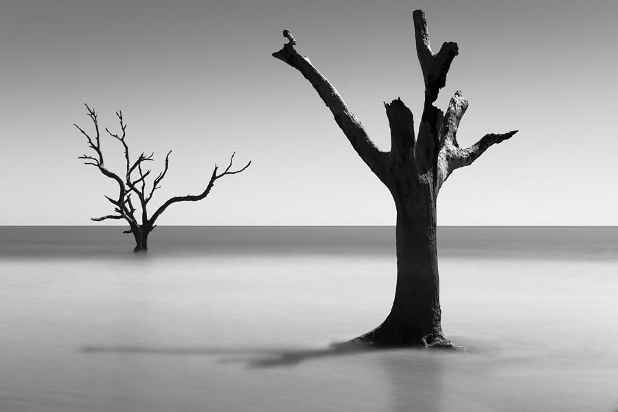 Boneyard Beach - III Photograph by Ivo Kerssemakers