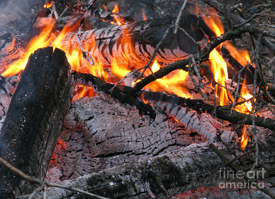 Bonfire Photograph by Ann Horn