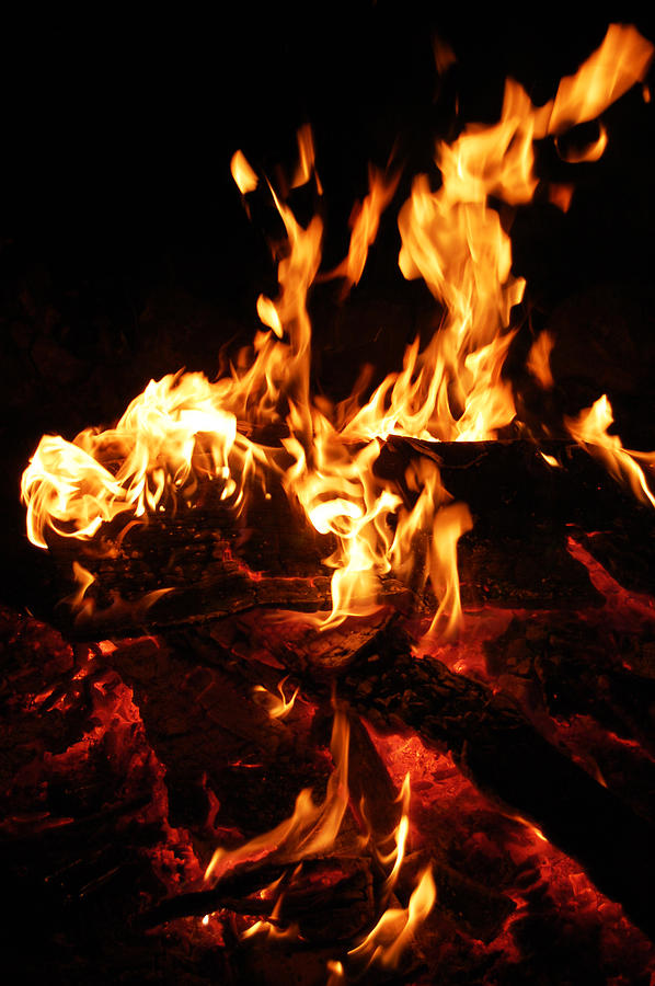 Bonfire Out in the Sticks Photograph by Abbe Studer - Fine Art America