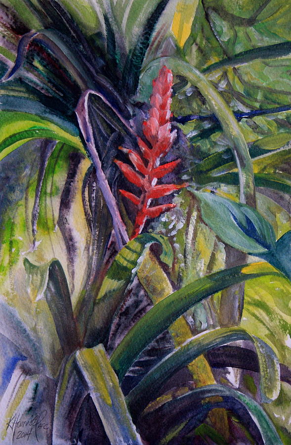 Bonita's Bromelia Painting by Kitty Harvill - Fine Art America