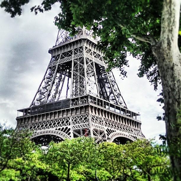 Eiffel Tower Photograph - Bonjour by Joe Renaissance